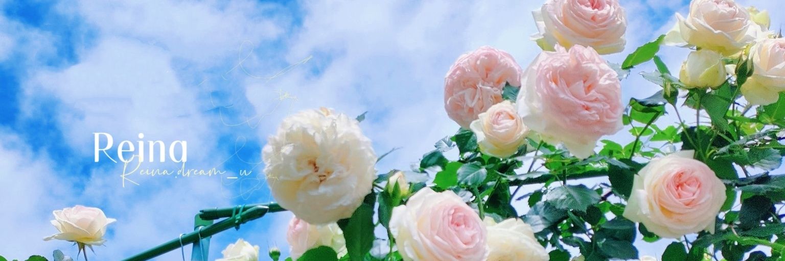 れいなちゃん🐱3rd🌻🎐🍧制限中's banner