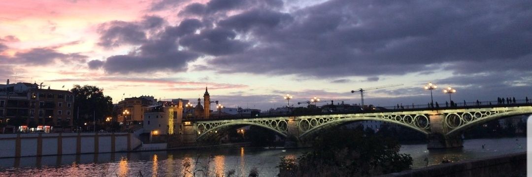Rodri_016's profile banner image