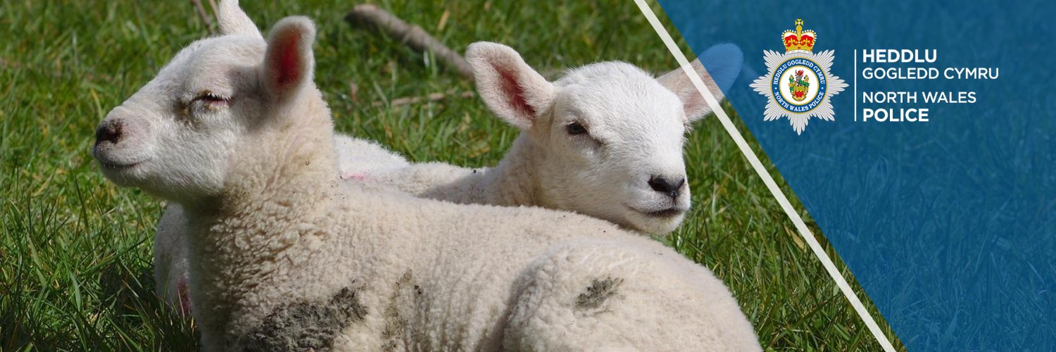 NWP Rural Crime Team/Tîm Troseddau Cefn Gwlad HGC banner