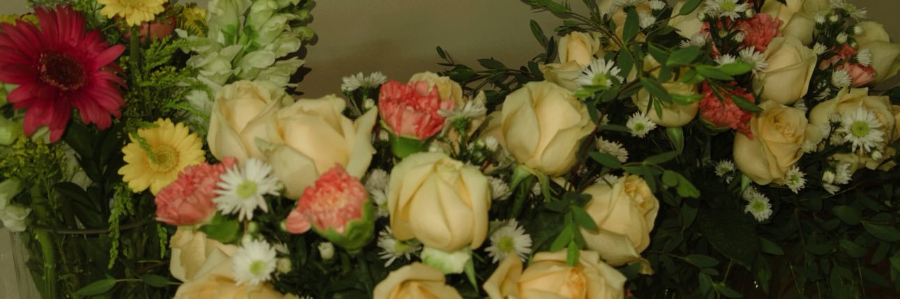 dml7200's profile banner image
