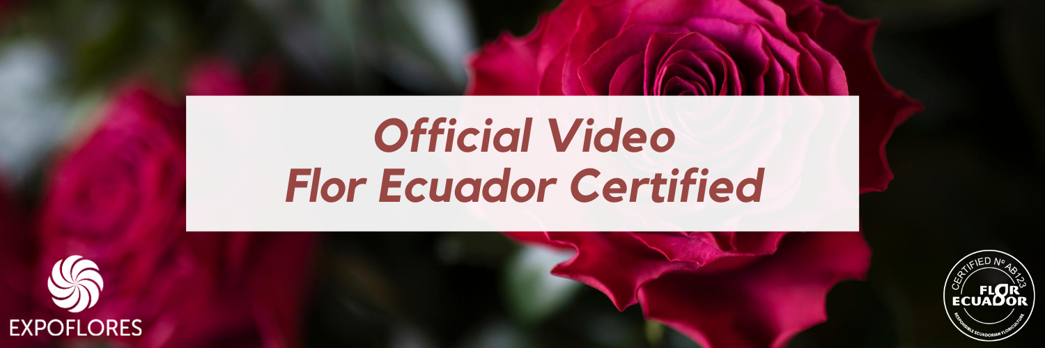 FlorEcuador banner
