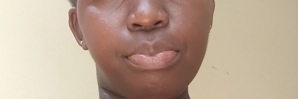 DebraLamaro Profile Banner