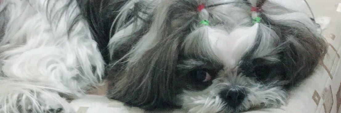 fhonmpcm's profile banner image