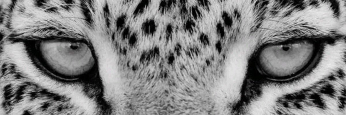 e banner