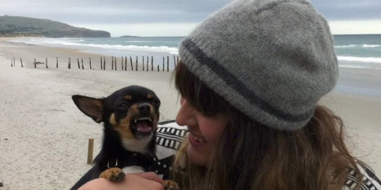dearcolleen's profile banner image