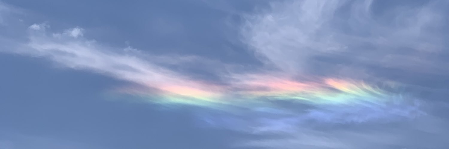 wavy_cat_'s profile banner image