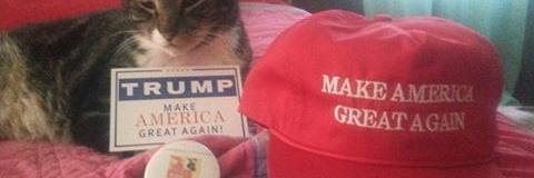 obese_neckbeard's profile banner image