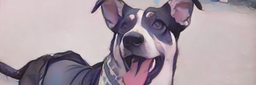 CastrosSmith's profile banner image