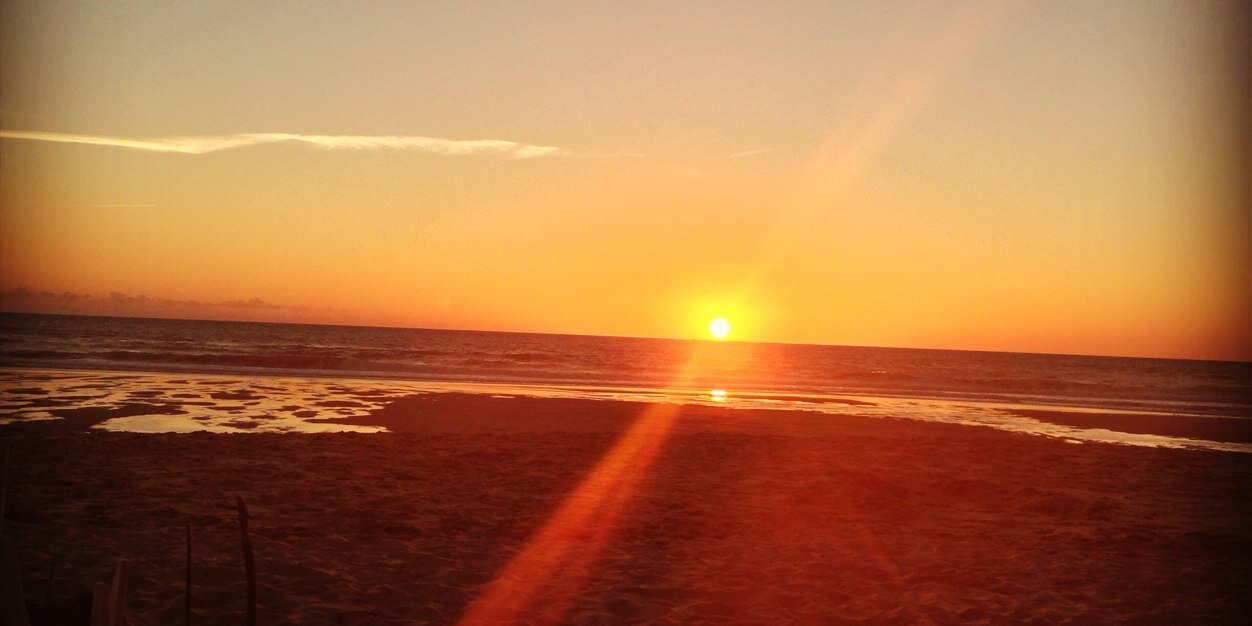 JodieLiely's profile banner image