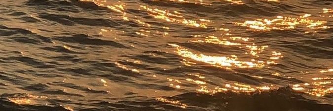 muffin ｡⁠*～⁠♡〜 banner