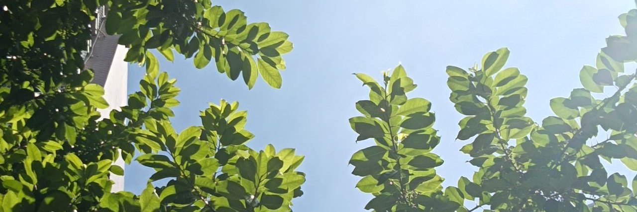 aaa_nomii's profile banner image