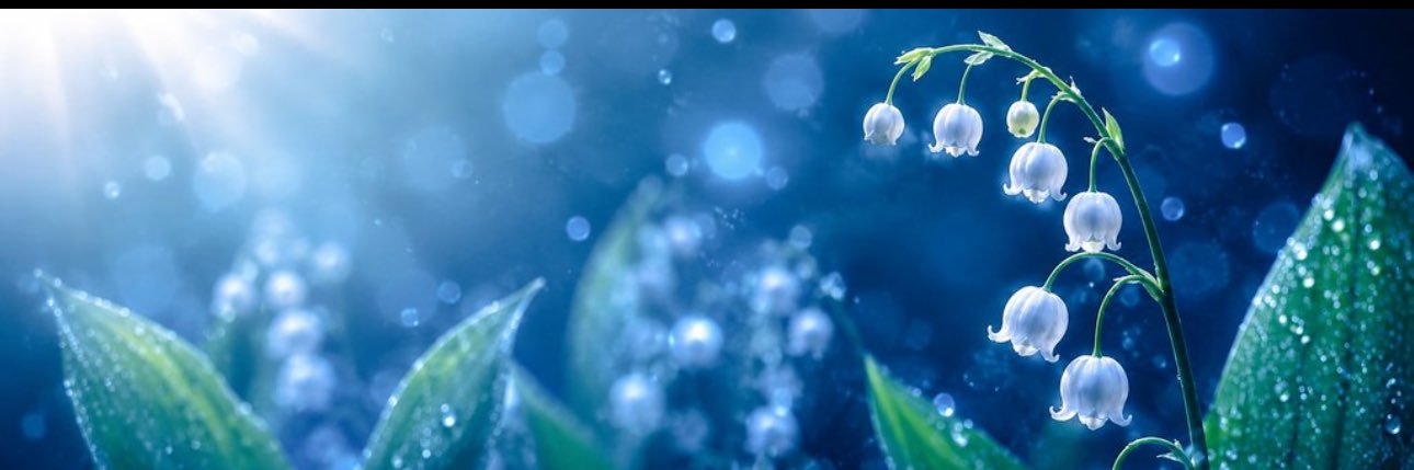 _cxrp5's profile banner image