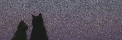 Helloeunicee's profile banner image