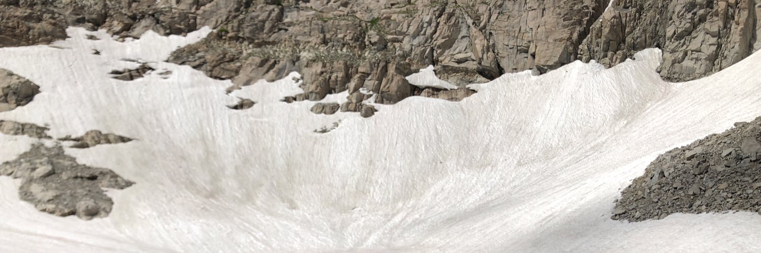 Williams C Hay banner