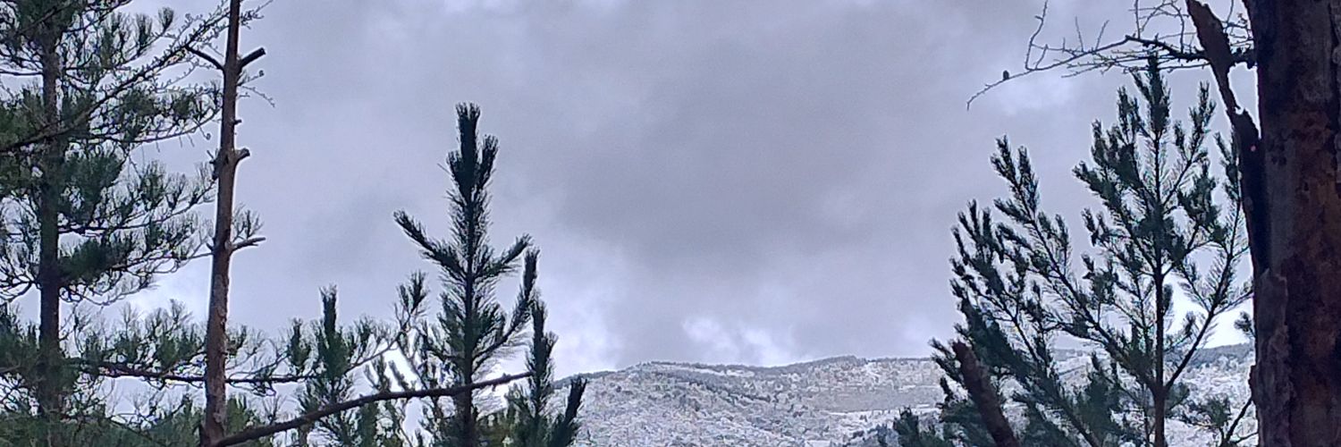 EsterV_M's profile banner image