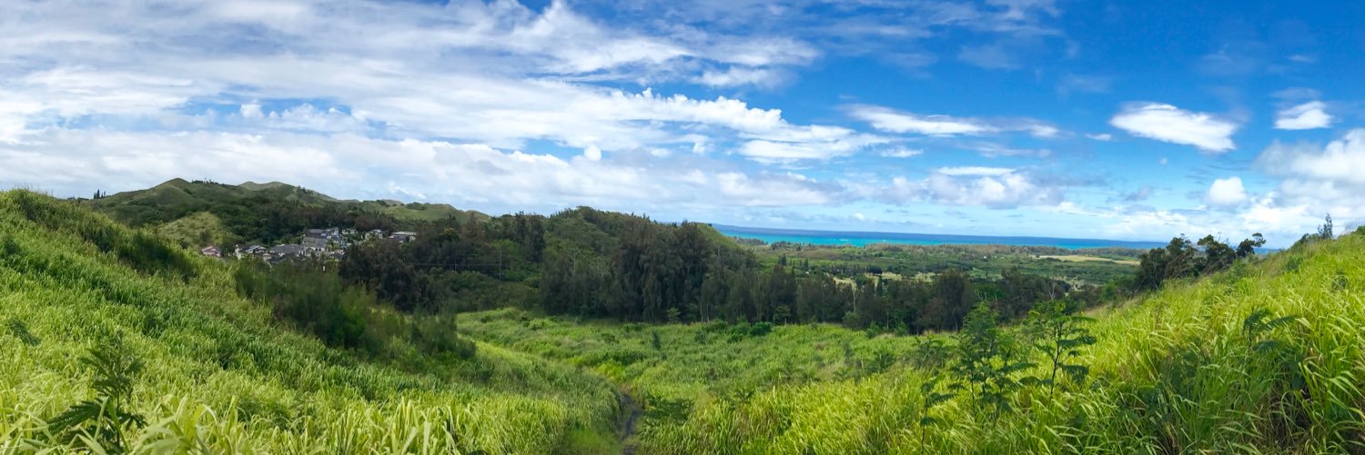 honolulupulse's profile banner image