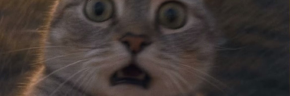 CaesarWX's profile banner image