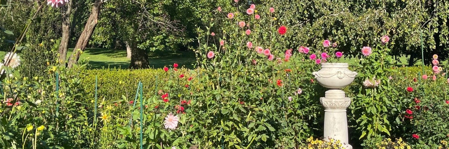 Westerly Library and Wilcox Park banner