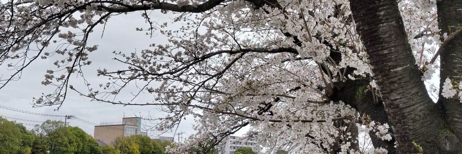 MIRACLE1514454's profile banner image