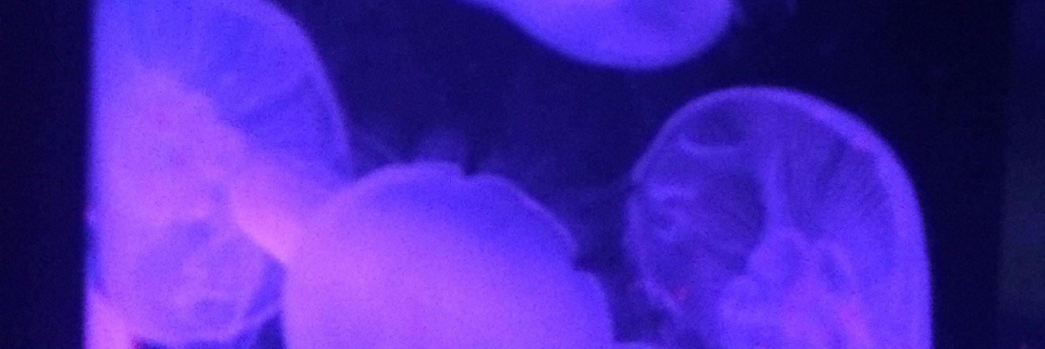 omochipuni's profile banner image