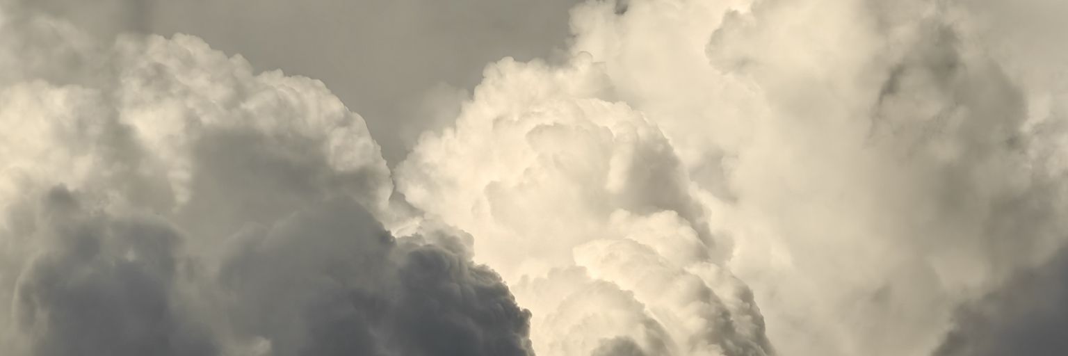 Phoenix_ banner