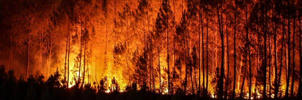 DisasterWeathr Profile Banner