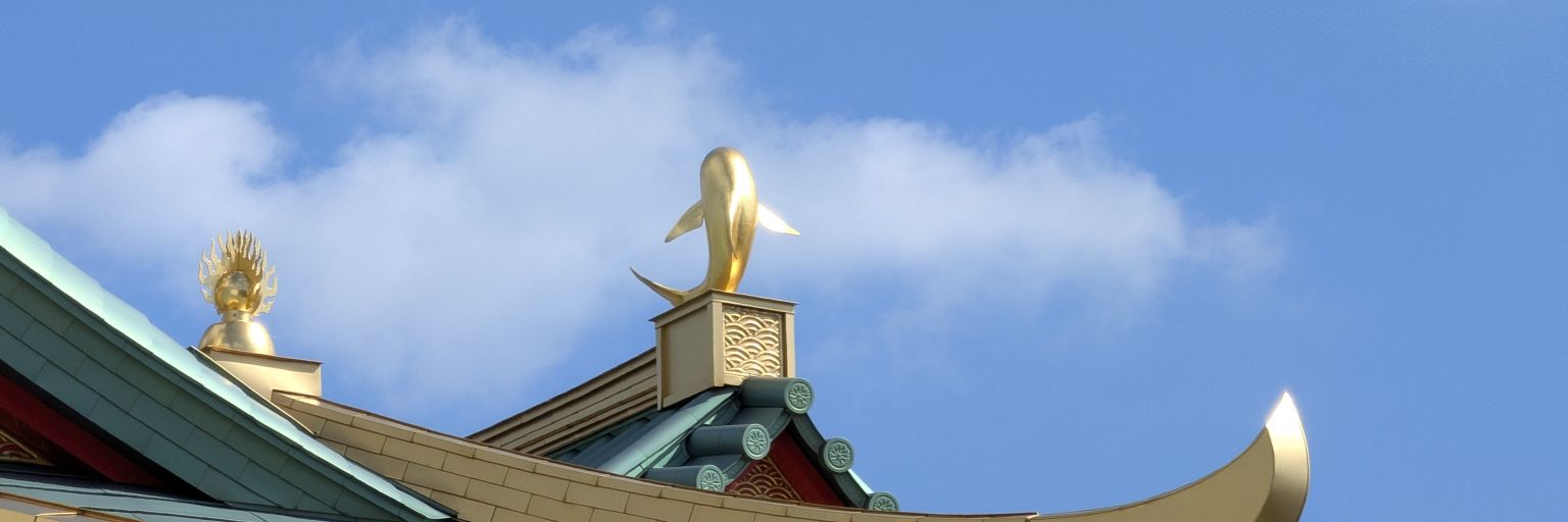 findnewland2000's profile banner image