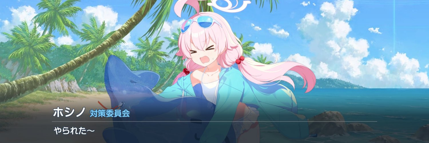 toramaru_donn's profile banner image
