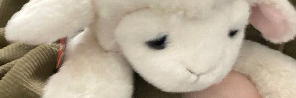 lazylambzz Profile Banner