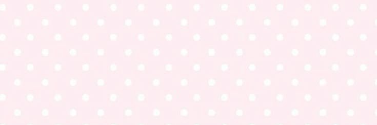 dani (-9kg) banner