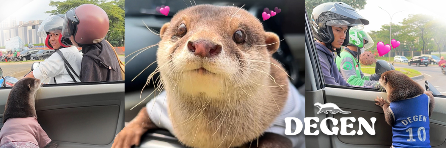 $DEGEN the Otter's banner