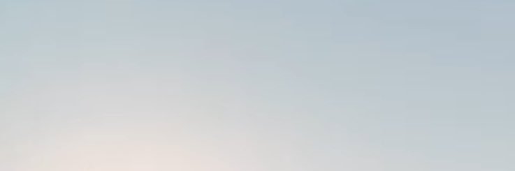🎀 banner
