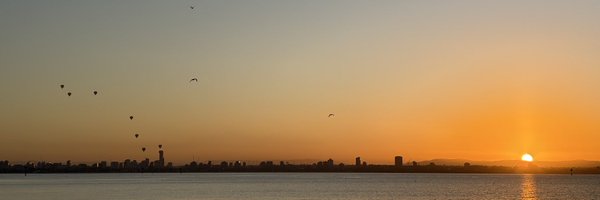 SaaSScout_ Profile Banner