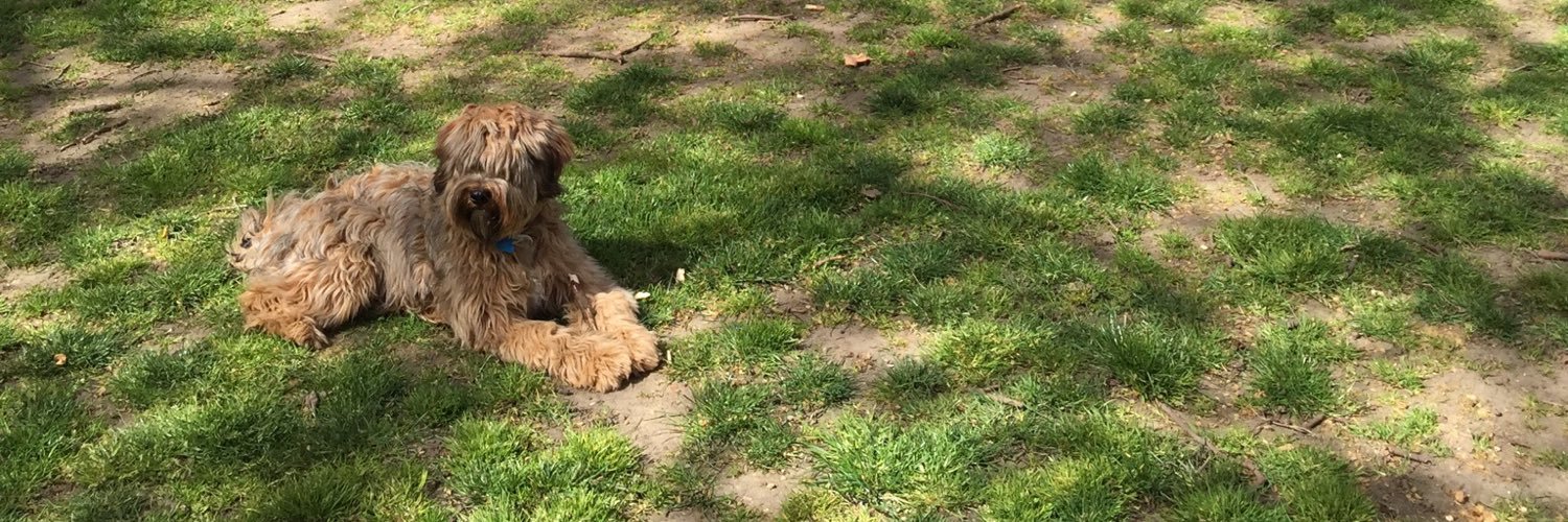 Rupert Houseman banner