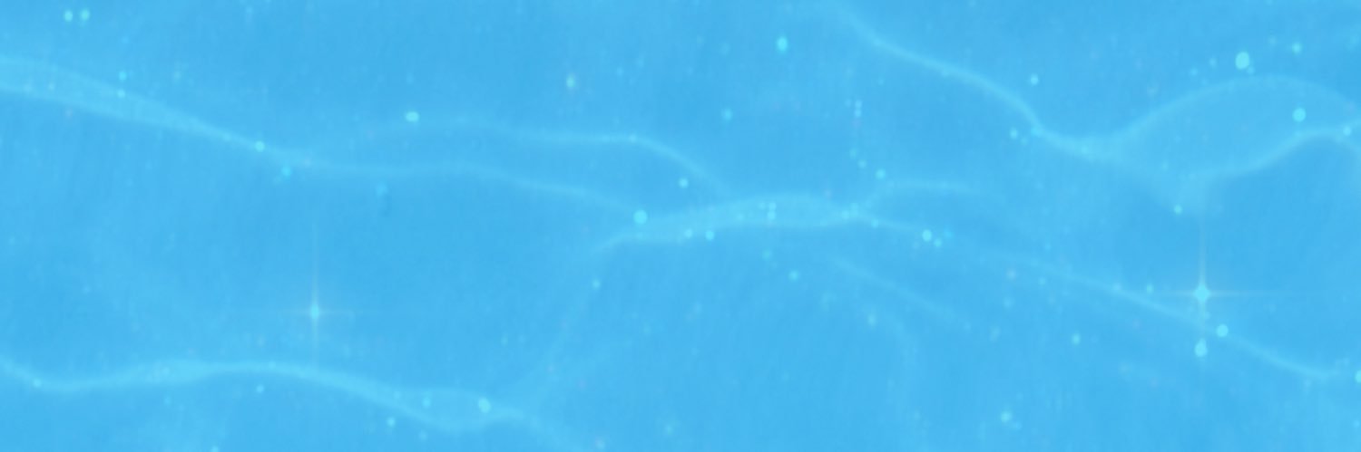 memoryofest🦈 banner