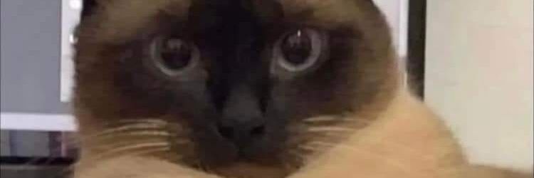 f3b3r's profile banner image