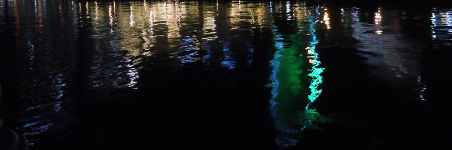 zofiawrites's profile banner image