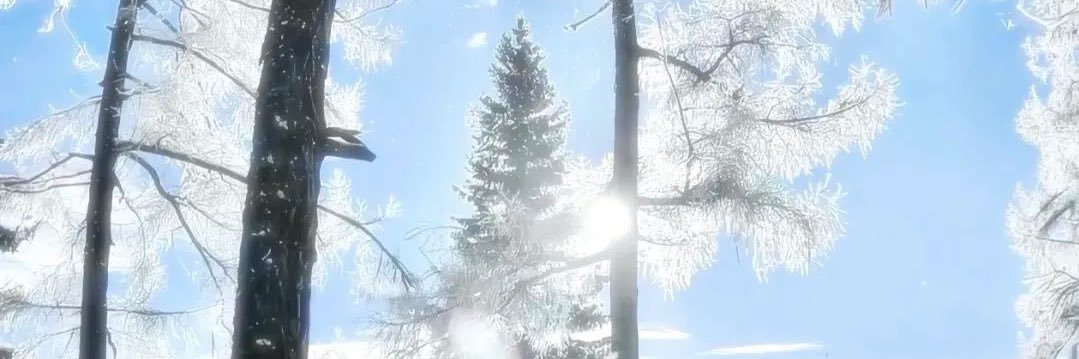 ManacyU0010's profile banner image