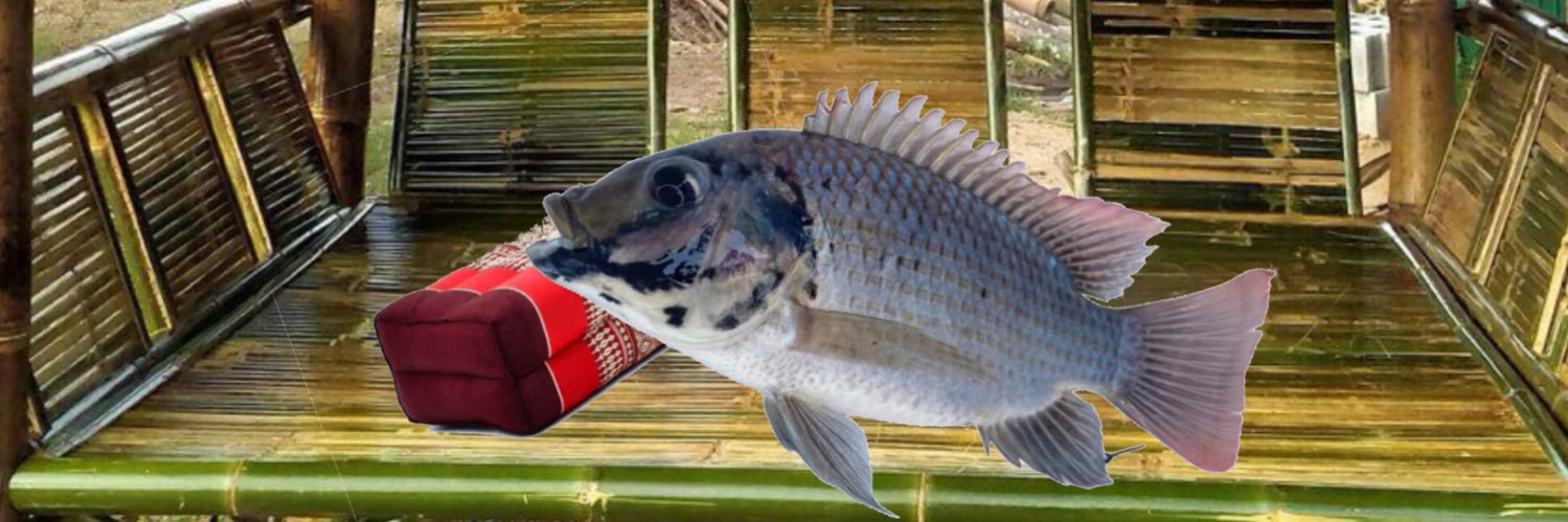 CabinnDrFish_'s profile banner image