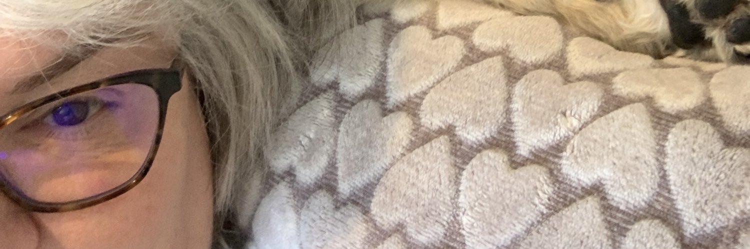 LisaAshBowers's profile banner image
