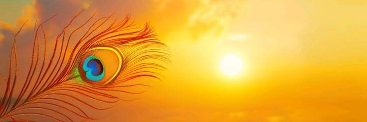 Aksh_478's profile banner image