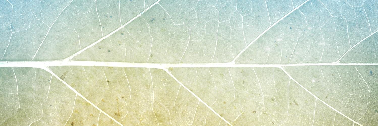 Citatum's profile banner image