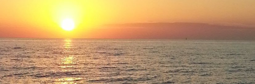 violalong710's profile banner image