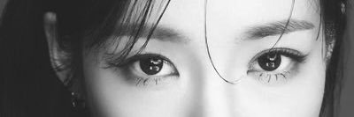 Hans. banner