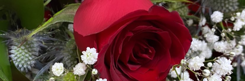 Psiiio's profile banner image
