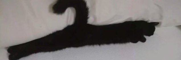 6oyim's profile banner image