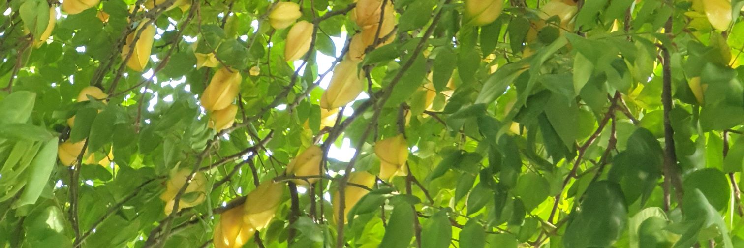 RockPow's profile banner image
