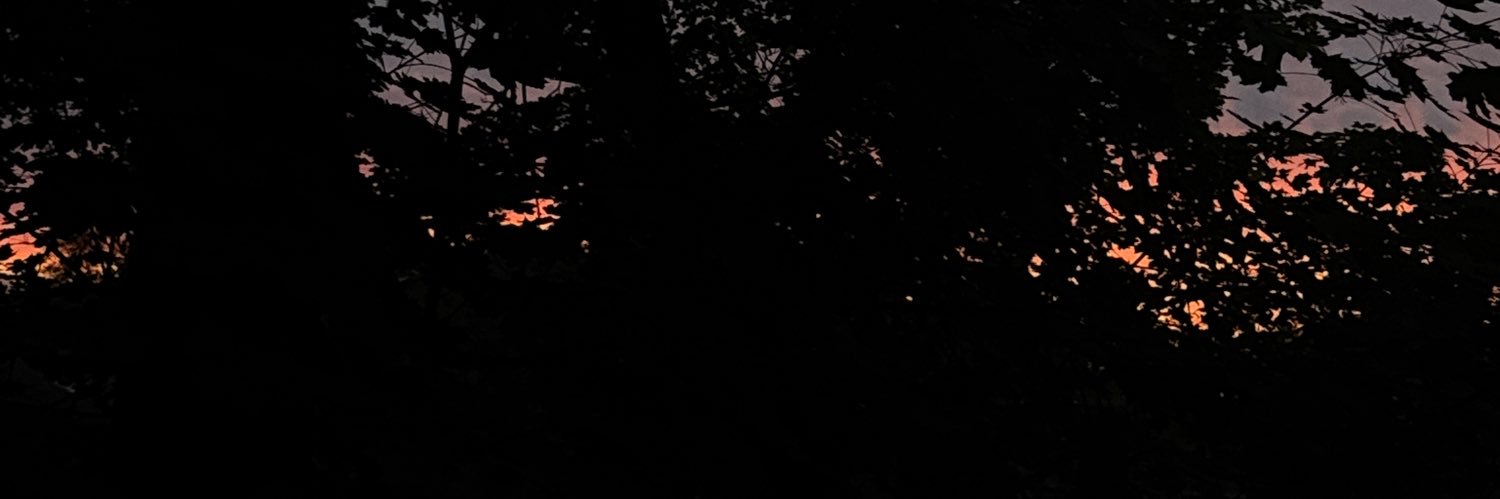 PrincessNiyxx's profile banner image