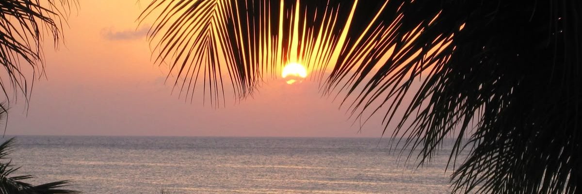 StructoUi's profile banner image