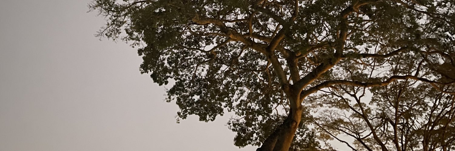 Eucomento2025's profile banner image